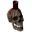 Skull Candle