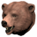 Pristine Grizzly Bear Head