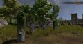 Runestone formations