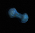 Deceit (Dolus) Orbital Body