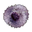 Chaos Plant Pollen