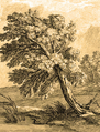 Thumbnail for version as of 19:53, 2 April 2016