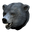 Pristine Obsidian Bear Head