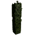 Thumbnail for version as of 04:13, 11 October 2015