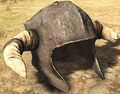 Thumbnail for version as of 18:00, 20 March 2025