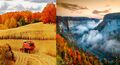 Inspiration for Harvest