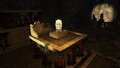 Thumbnail for version as of 18:24, 11 December 2022