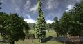 Thumbnail for version as of 19:36, 16 March 2017