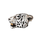 Pristine Snow Leopard Head