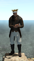 Thumbnail for version as of 22:58, 6 July 2015