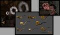 Thumbnail for version as of 16:44, 26 August 2016