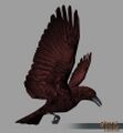 Bloodraven