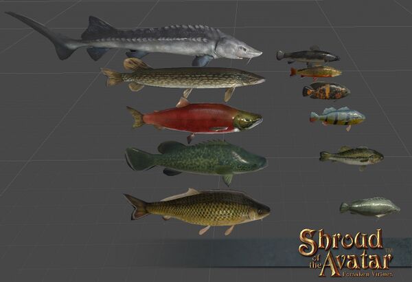 Freshwater Fish