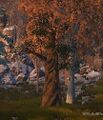 Thumbnail for version as of 01:15, 30 May 2021