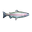 Trout