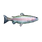 Trout