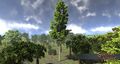 Thumbnail for version as of 19:32, 16 March 2017