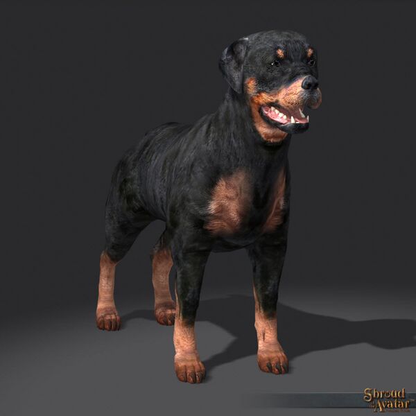 File:SotA FriendReferral Rottweiler Pet.jpg